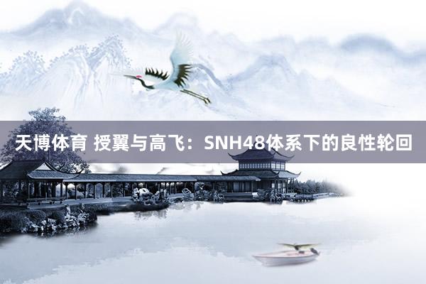 天博体育 授翼与高飞：SNH48体系下的良性轮回