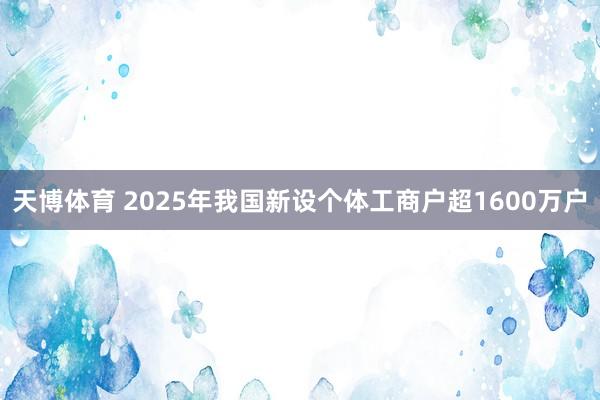 天博体育 2025年我国新设个体工商户超1600万户