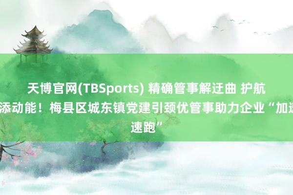 天博官网(TBSports) 精确管事解迂曲 护航发展添动能！梅县区城东镇党建引颈优管事助力企业“加速跑”