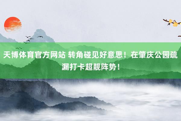 天博体育官方网站 转角碰见好意思！在肇庆公园疏漏打卡超靓阵势！