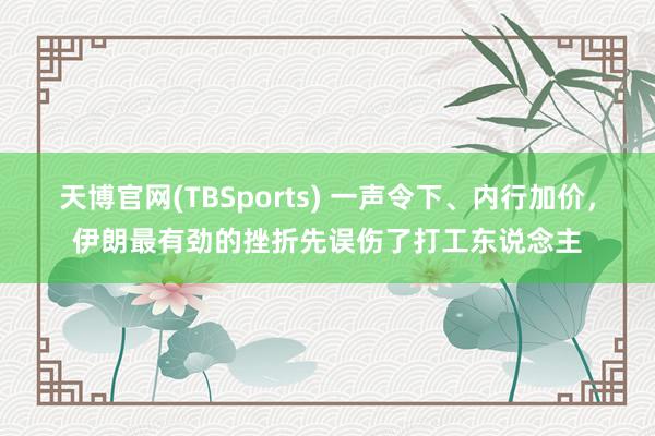 天博官网(TBSports) 一声令下、内行加价，伊朗最有劲的挫折先误伤了打工东说念主
