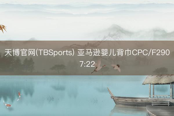 天博官网(TBSports) 亚马逊婴儿背巾CPC/F2907:22