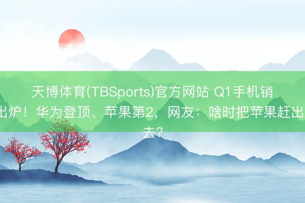 天博体育(TBSports)官方网站 Q1手机销量出炉！华为登顶、苹果第2，网友：啥时把苹果赶出去？